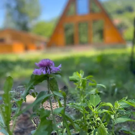 Holiday home Finasii Albac