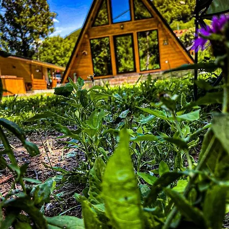 Finasii Holiday home *
